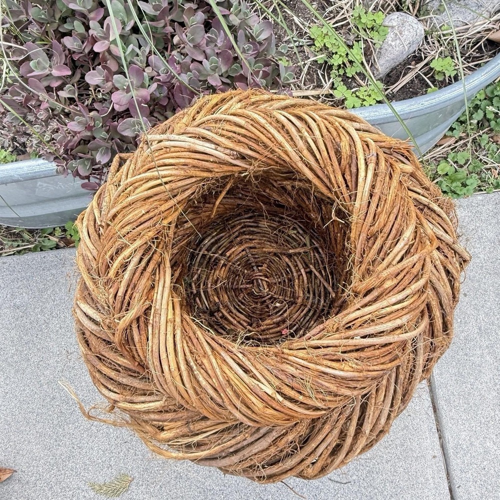 Sculptural Grapevine 15"Basket Organic Woven Fiber Art Planter, One of a Kind 1